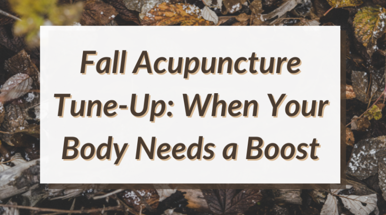 Fall Acupuncture Tune-Up: When Your Body Needs a Boost