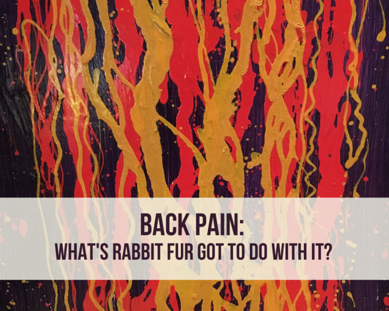 Back Pain & Unique Remedies: What’s Rabbit Fur Got To Do With It?