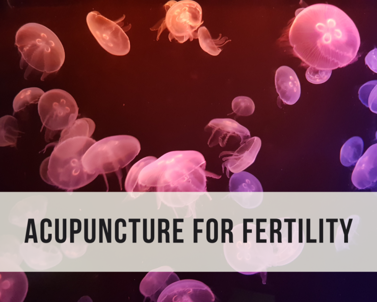 Acupuncture for Optimal Fertility