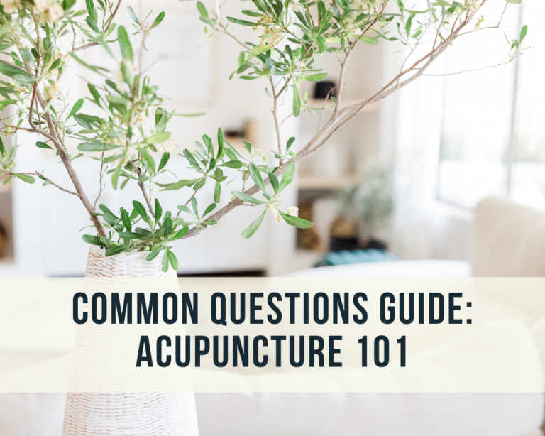 Common Questions Guide: Acupuncture 101