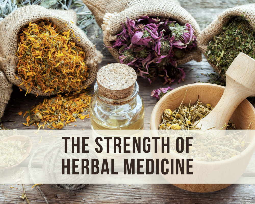 The Power Herbal Medicine › Jersey Community Acupuncture