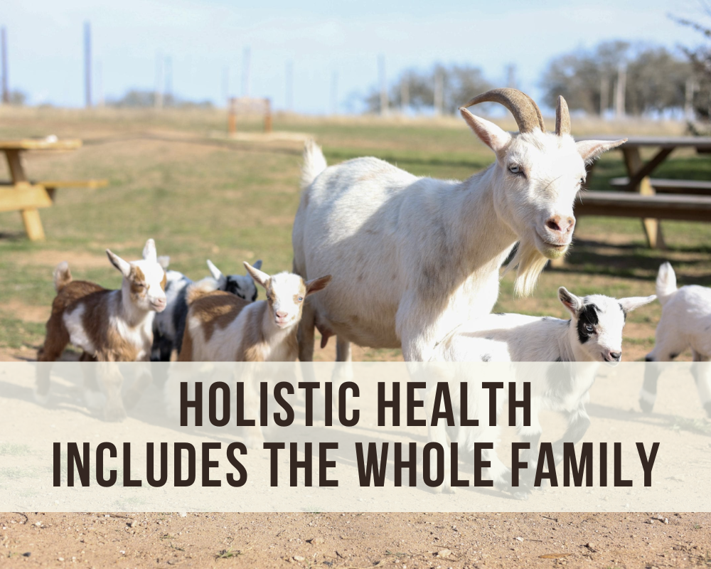 Holistic health includes the whole family