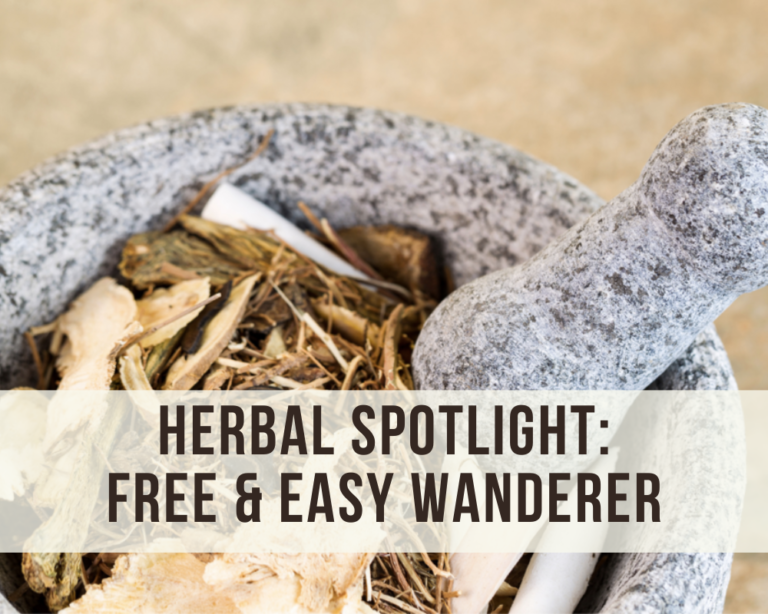 Herbal spotlight: free & easy wanderer