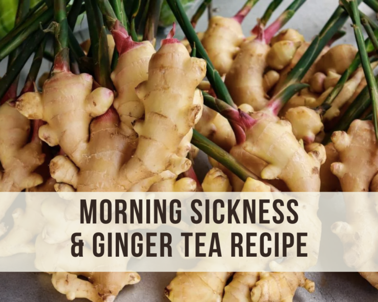 morning sickness & ginger tea recipe