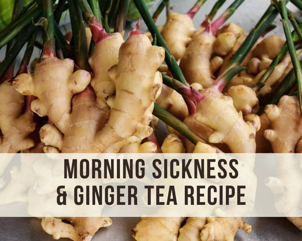 morning-sickness-ginger-tea-jersey-community-acupuncture