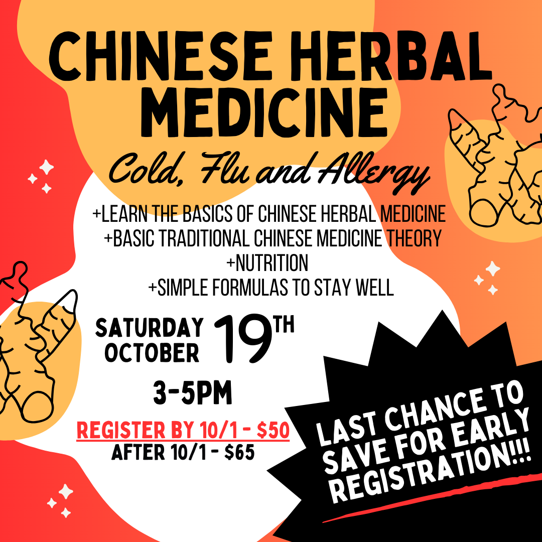 Orange and red flyer graphic for Chinese Herbal Medicine workshop with dates and ginger